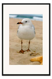 Gerahmter Kunstdruck Möwe im Sand