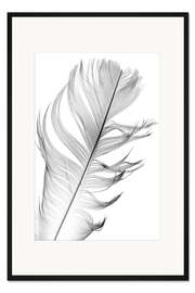 Gerahmter Kunstdruck Zarte Feder