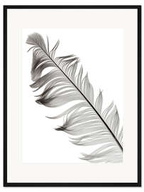 Gerahmter Kunstdruck sanfte Feder