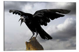 Magnettafel Krähe vorm Abflug