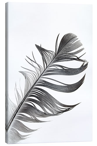 Canvas print monochrome spring