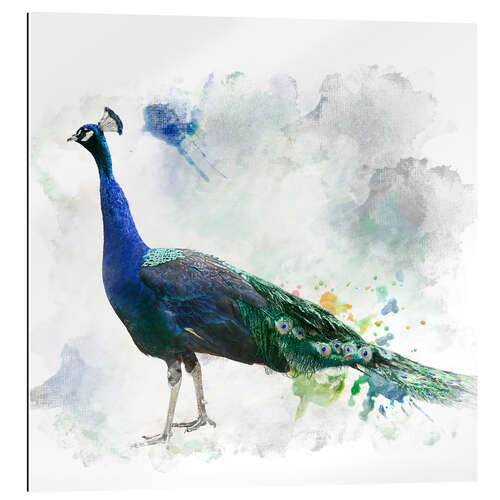 Gallery print Peacock of the page