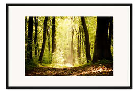 Gerahmter Kunstdruck kleine Lichtung