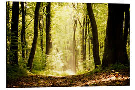 Magnettafel kleine Lichtung