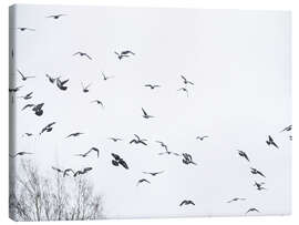 Canvas print  Flock of birds