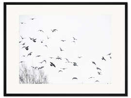 Gerahmter Kunstdruck Vogelschwarm 
