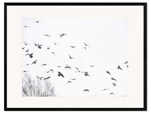 Framed art print Flock of birds