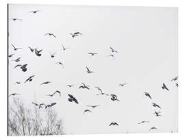 Magnettafel Vogelschwarm 