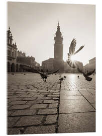 Acrylic print Krakow pigeons