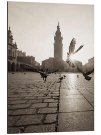 Aluminium print Krakow pigeons