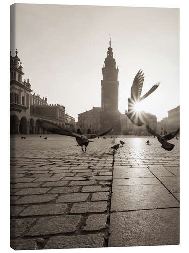 Tableau sur toile Pigeons à Cracovie