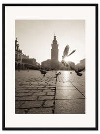 Gerahmter Kunstdruck Krakauer Tauben