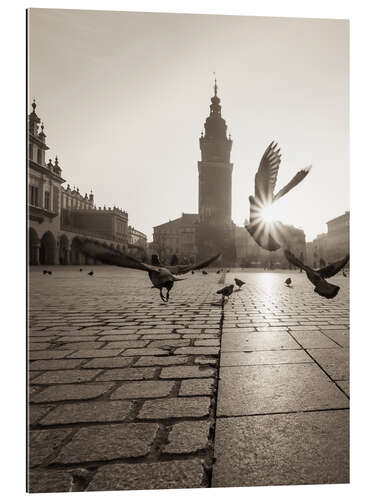 Gallery print Krakow pigeons