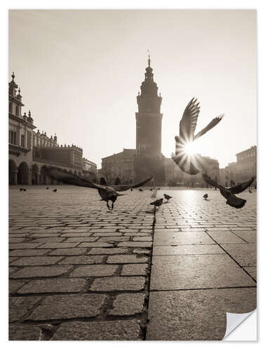 Vinilo para la pared Krakow pigeons