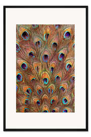 Gerahmter Kunstdruck Pfauenfedern bronze