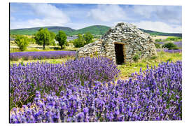 Magnettafel Wohin führt diese Tür?