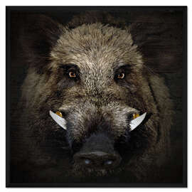 Gerahmter Kunstdruck Keiler