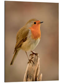 Magnettafel Tschip Tschip!