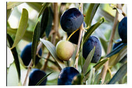 Magnettafel Reife Oliven am Zweig