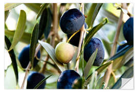 Wall sticker Olives on branch