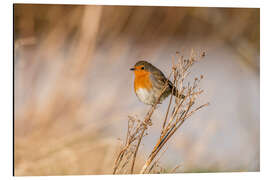 Magnettafel Ein kleiner Farbtupfer