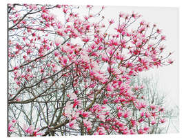 Tableau en aluminium Pink Blooming