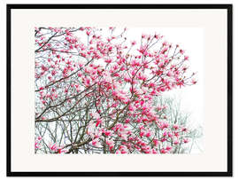 Innrammet kunsttrykk Pink Blooming