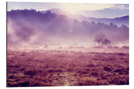 Tableau en aluminium Gentle meadow