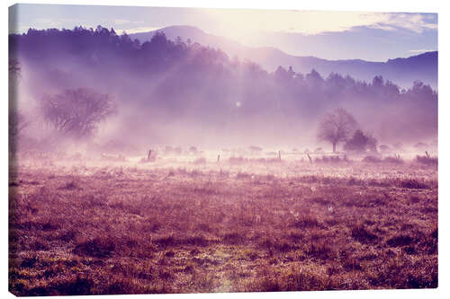 Canvas print Gentle meadow