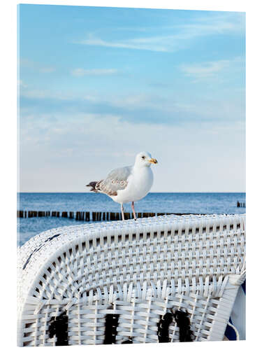 Akryylilasitaulu Little seagull