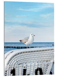 Gallery Print Möwchen