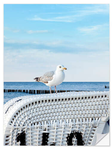 Wall sticker Little seagull