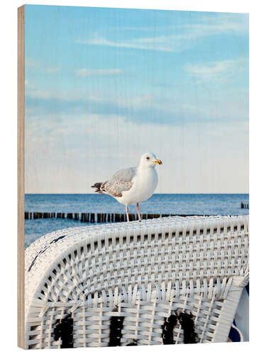 Obraz na drewnie Little seagull