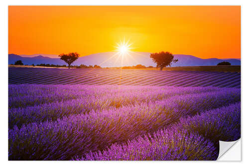 Wall sticker Sun over lavender