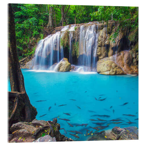 Cuadro de metacrilato Fish in front of waterfall