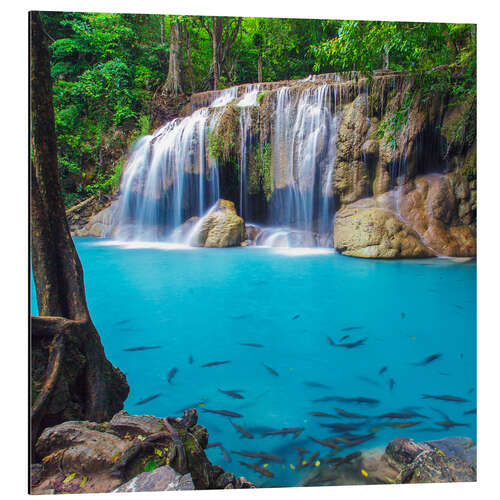 Alubild Fische vor Wasserfall