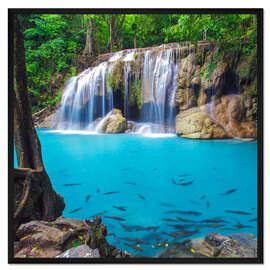 Gerahmter Kunstdruck Fische vor Wasserfall