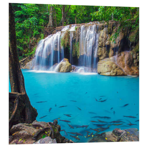 Foam board print Fish in front of waterfall