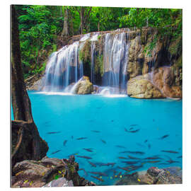 Galleriataulu Fish in front of waterfall