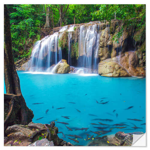 Muursticker Fish in front of waterfall