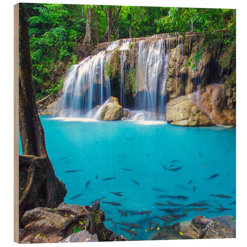 Stampa su legno Fish in front of waterfall