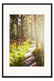 Gerahmter Kunstdruck Pfad durch den Wald