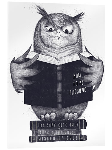 Acrylic print Reading owl