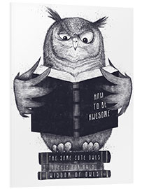 Obraz na PCV Reading owl