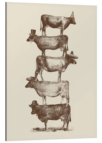 Aluminium print Cow Cow NutsBIG