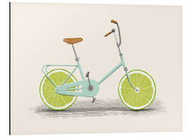 Magnettafel Limetten-Rad