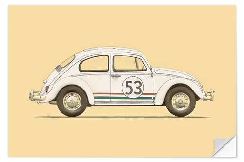 Wandsticker Beetle