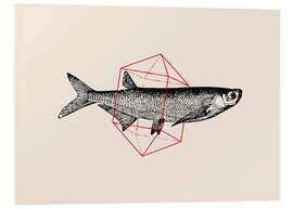 Foam board print Fish In Geometrics II