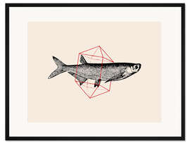 Gerahmter Kunstdruck Fish In Geometrics II