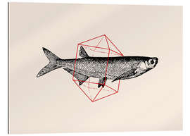 Gallery print Fish In Geometrics II